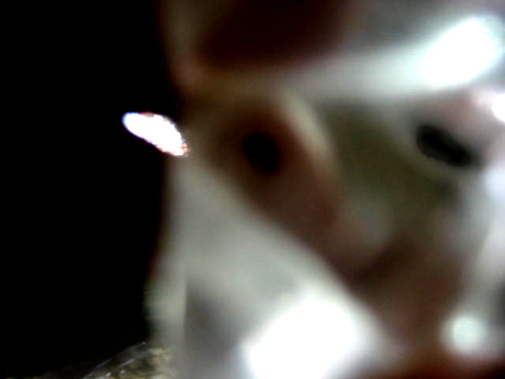 e0103408_16172811.jpg