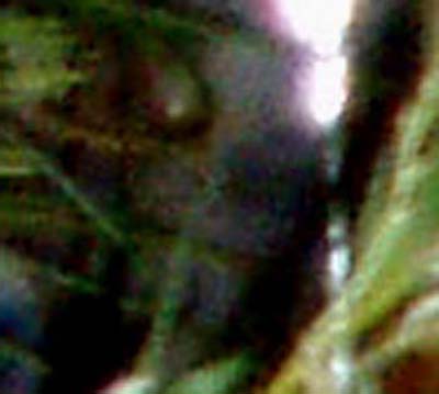 e0103408_1618162.jpg
