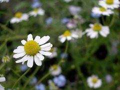 c0190010_1742647.jpg