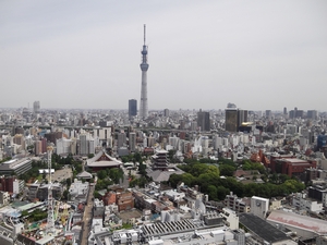 d0078311_16442874.jpg