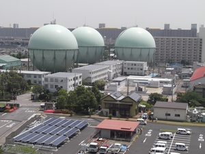 d0078311_895668.jpg