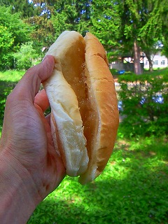 f0100911_22595771.jpg