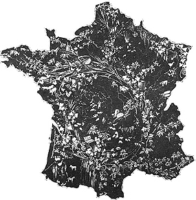 b0179814_00824.jpg