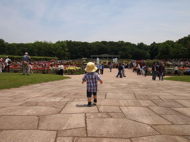 a0151615_11581545.jpg
