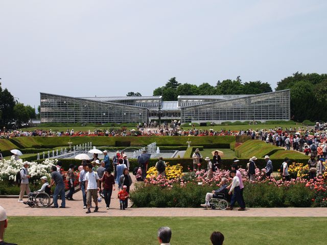 a0151615_1225139.jpg