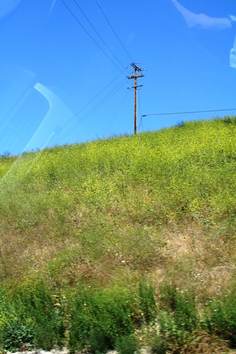 d0027320_053298.jpg