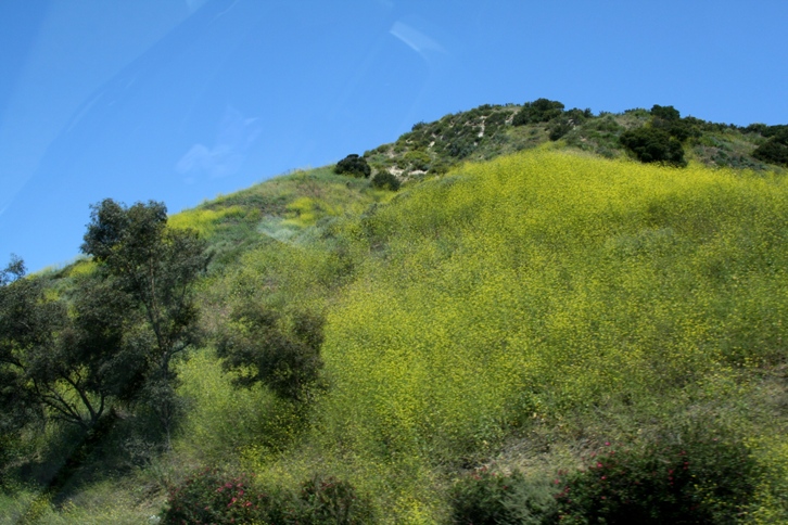 d0027320_0535145.jpg