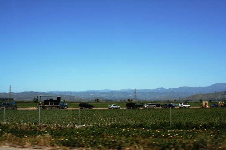 d0027320_0543348.jpg