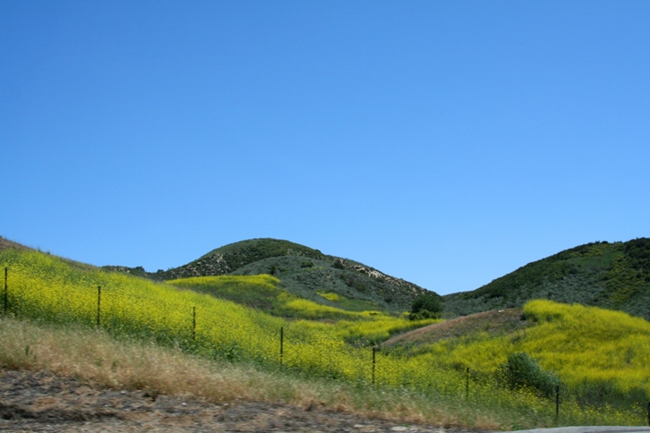 d0027320_054794.jpg