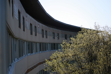 f0097620_2359155.jpg