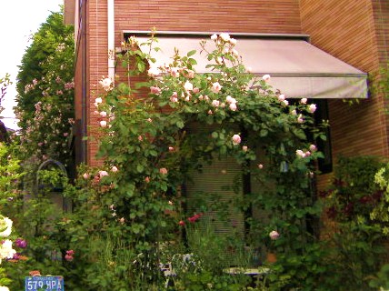 c0204121_10154178.jpg