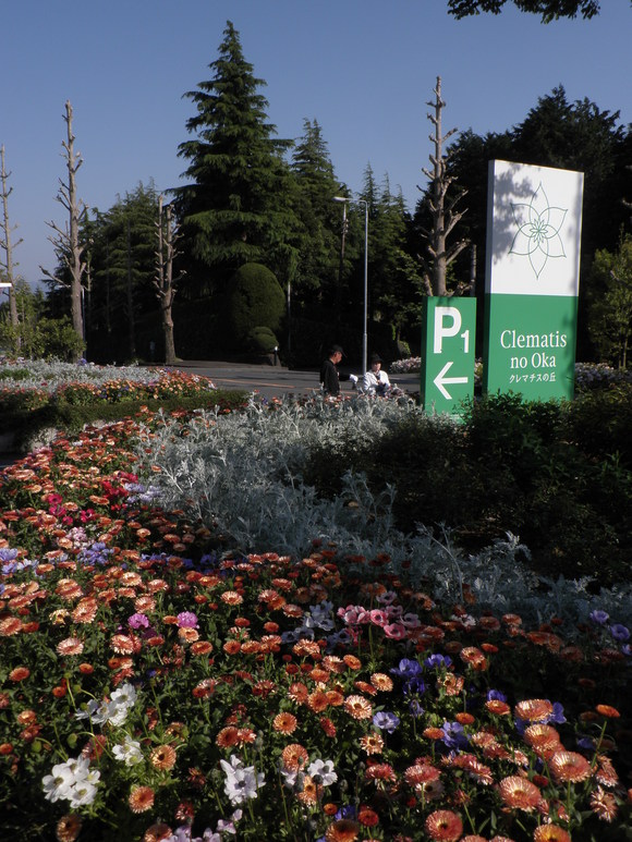 e0127622_2328566.jpg