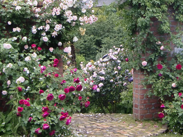 d0018424_1012523.jpg