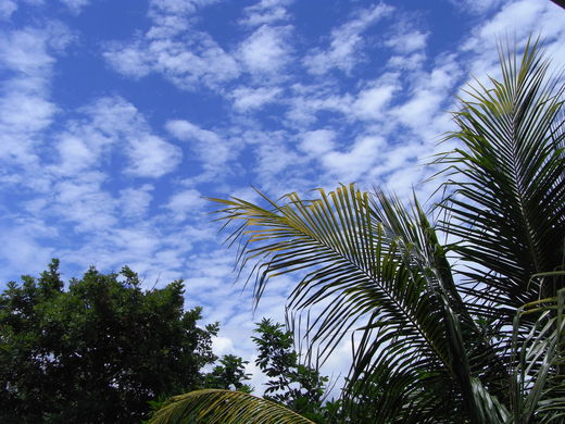 f0169328_1129533.jpg