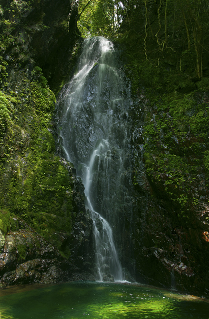 d0147530_535880.jpg