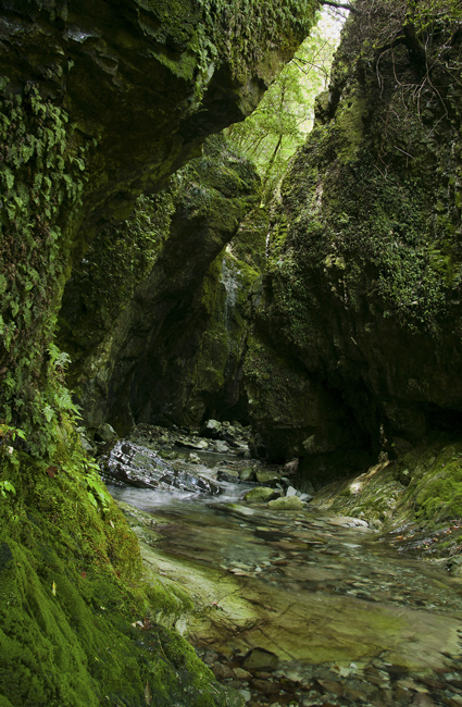 d0147530_553744.jpg