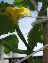 f0142733_2129548.jpg