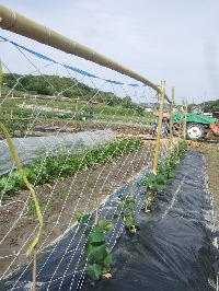f0142733_21301263.jpg