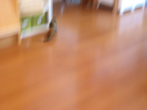 b0138734_11501294.jpg