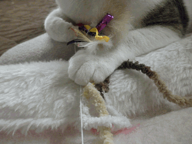 c0136736_17421083.gif