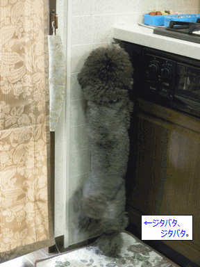 c0136736_953547.gif