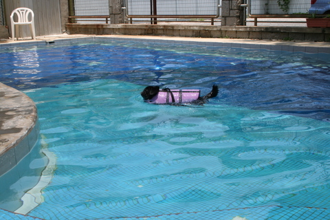 e0018143_2241375.jpg