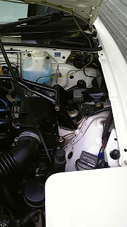 f0000652_022583.jpg