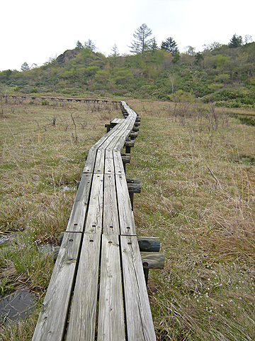 a0001354_22402980.jpg