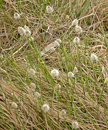 a0001354_22444021.jpg