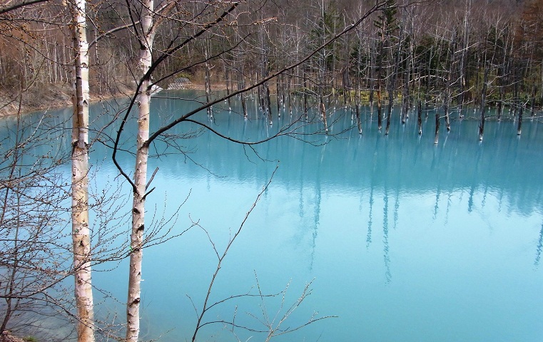 e0044657_20203135.jpg