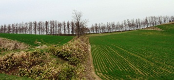 e0044657_2029282.jpg