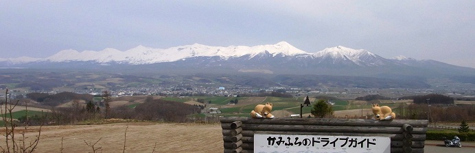 e0044657_203404.jpg