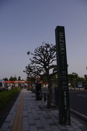 d0093462_7513882.jpg