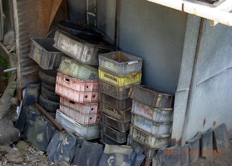 b0075364_12432985.jpg
