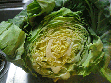 d0050871_10553553.gif