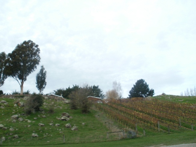 c0105680_4255497.jpg