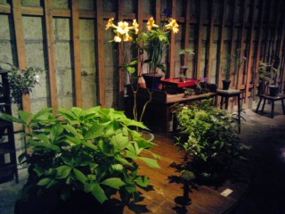 c0096582_20215842.jpg