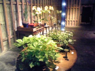 c0096582_20224076.jpg