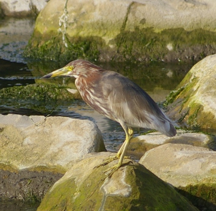e0197884_20252243.jpg