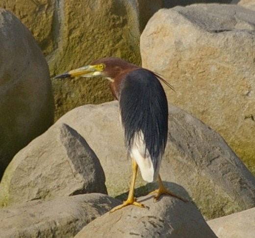 e0197884_20263862.jpg