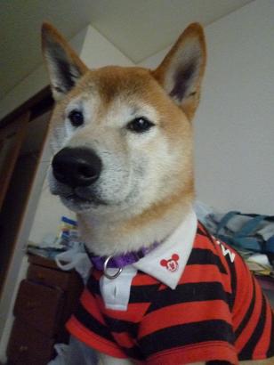 c0123890_21552444.jpg