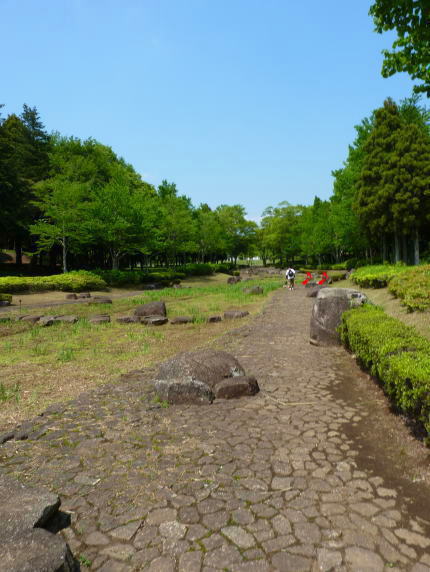 a0157892_17102223.jpg
