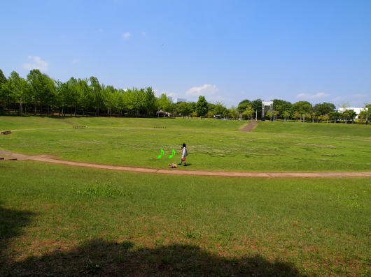 a0157892_17103286.jpg