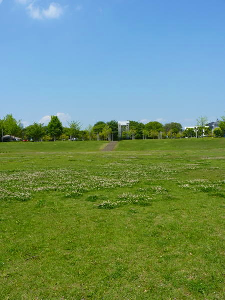 a0157892_17104419.jpg
