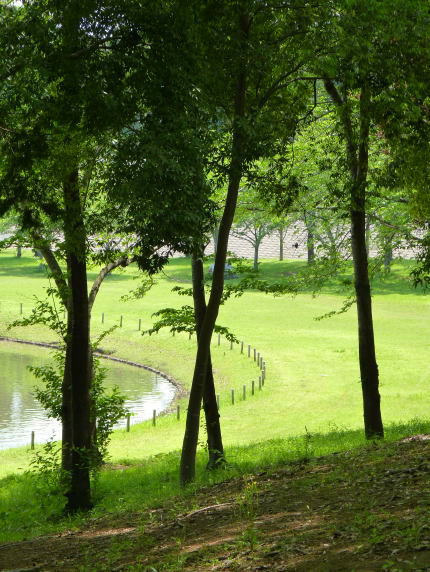 a0157892_179185.jpg