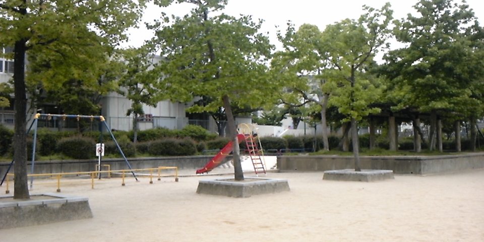 a0191095_1551239.jpg