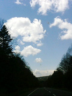 f0200795_14502595.jpg