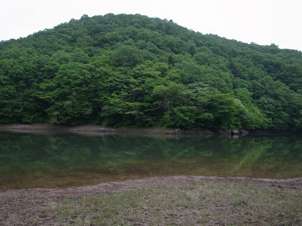 b0050305_11474634.jpg