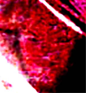 e0103408_1712222.jpg