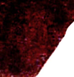 e0103408_1733468.jpg